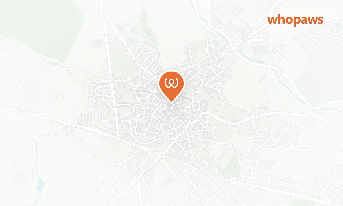 Mapa de la ubicación de Hostal Plaza Galapagar