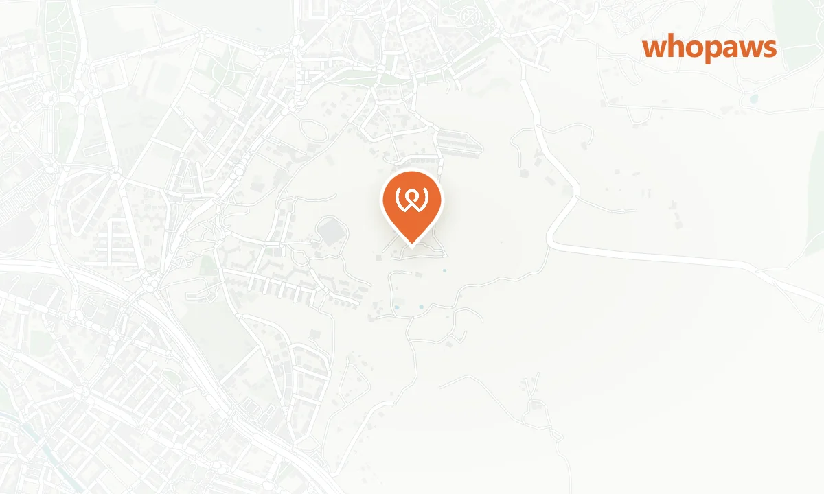 Mapa de la ubicación de Hotel Galaico