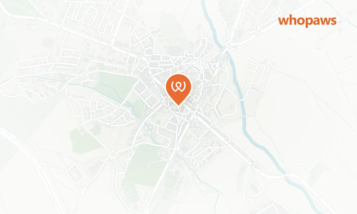 Mapa de la ubicación de Repsol Guadarrama Centro
