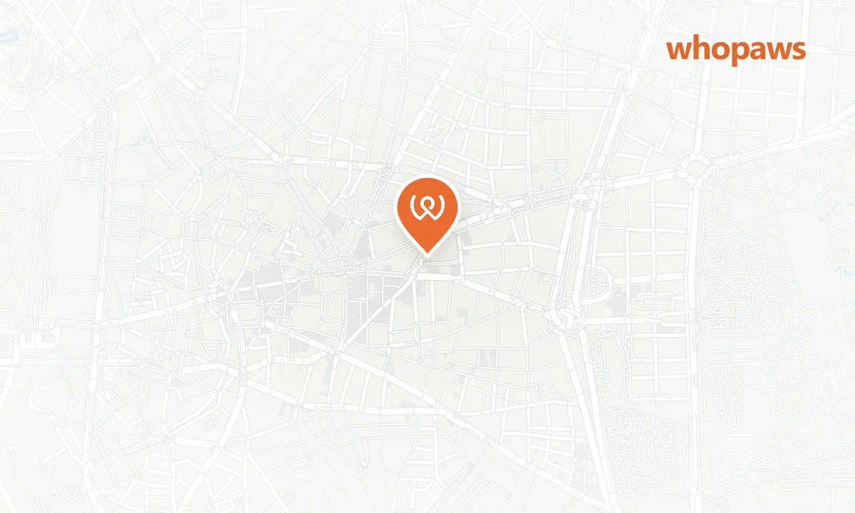 Mapa de la ubicación de Hontanares