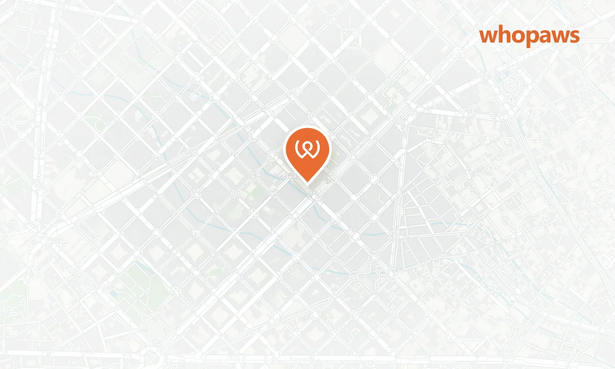 Mapa de la ubicación de Sugar pastry company