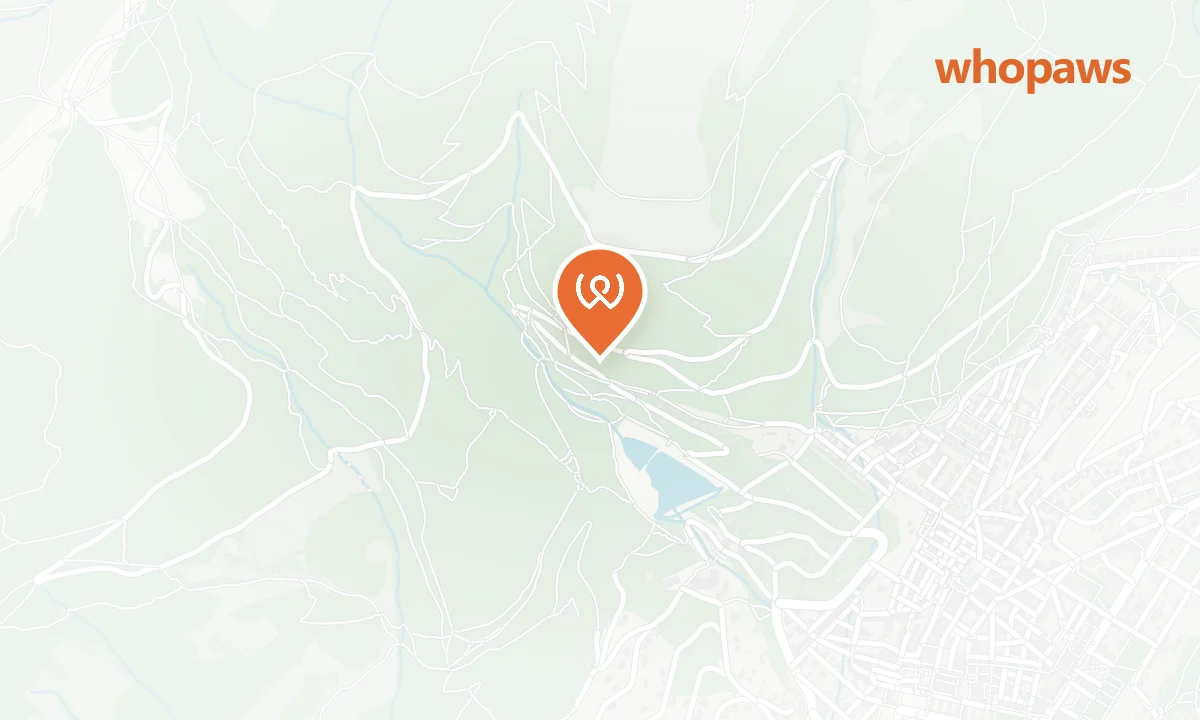 Mapa de la ubicación de Subida al Monte Abantos por Los Neveros
