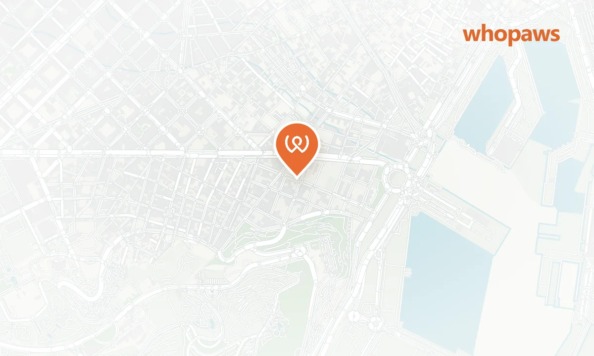 Mapa de la ubicación de La Strada