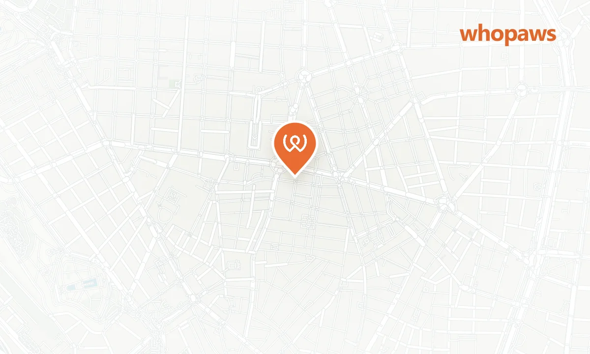 Mapa de la ubicación de Dolores y Lola