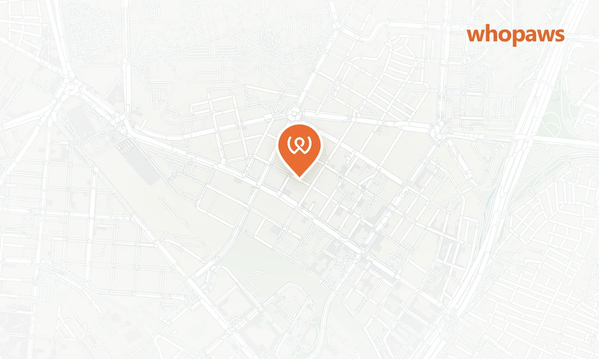 Mapa de la ubicación de Parking Daoíz y Velarde (EMT Madrid)