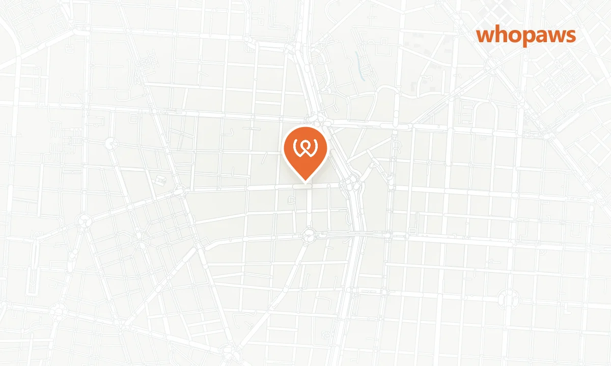 Mapa de la ubicación de Sushita Café (Miguel Ángel)