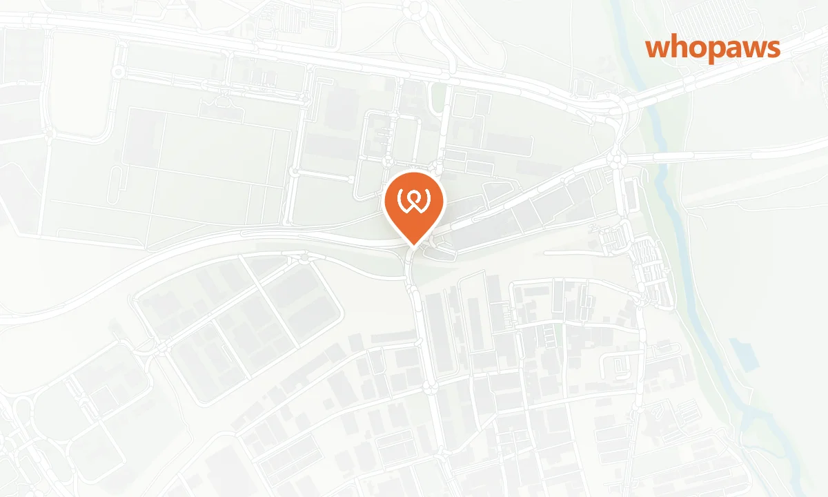 Mapa de la ubicación de AC Hotel Coslada Aeropuerto