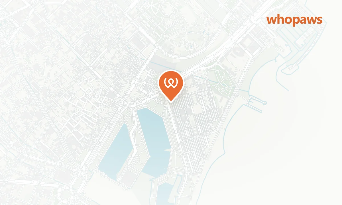Mapa de la ubicación de Brunch & Cake By the Sea
