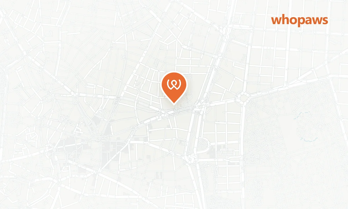 Mapa de la ubicación de Parking Plaza del Rey (EMT Madrid)