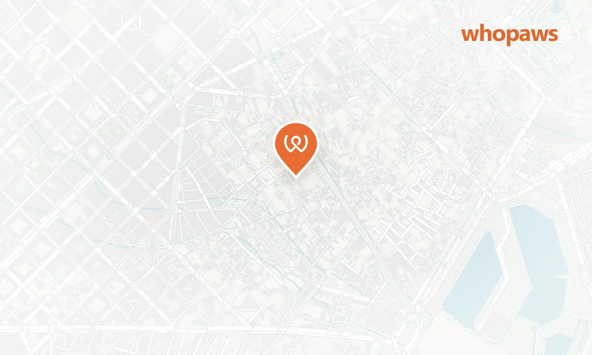 Mapa de la ubicación de  L’OW Boquería