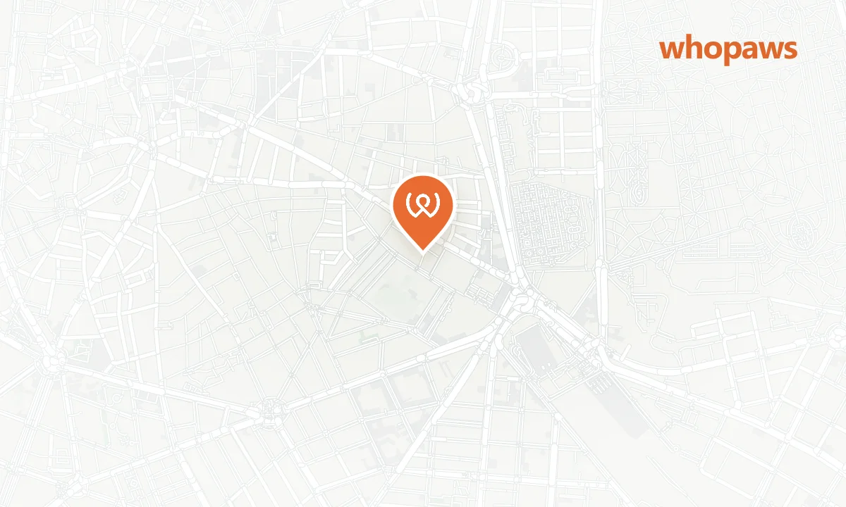 Mapa de la ubicación de Gato Gato