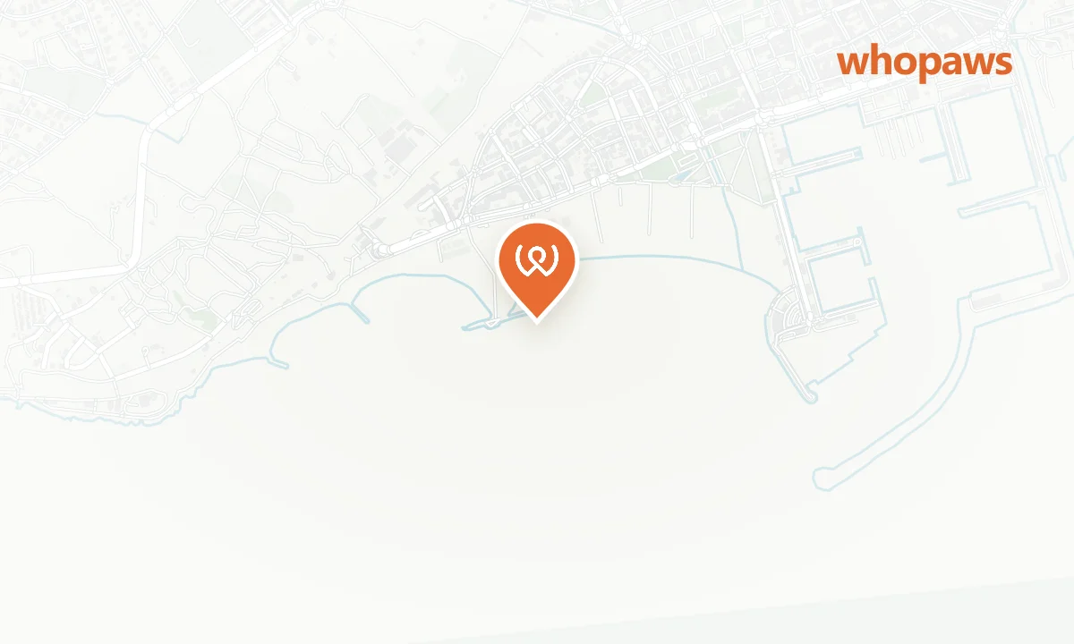 Mapa de la ubicación de Playa del Far (zona canina)