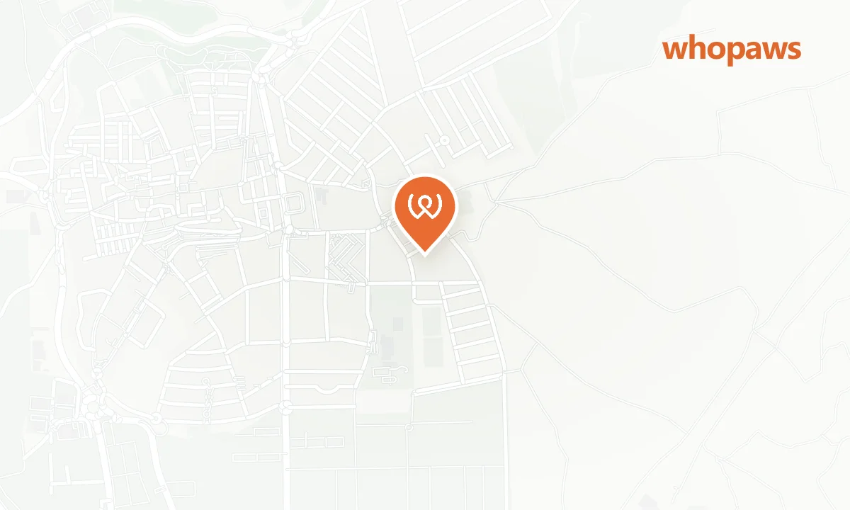 Mapa de la ubicación de Repsol Mejorada Ctra. Loeches