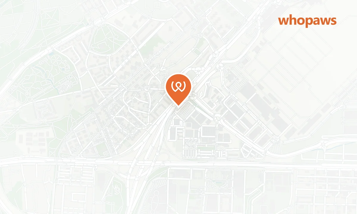 Mapa de la ubicación de Sercotel Madrid Aeropuerto