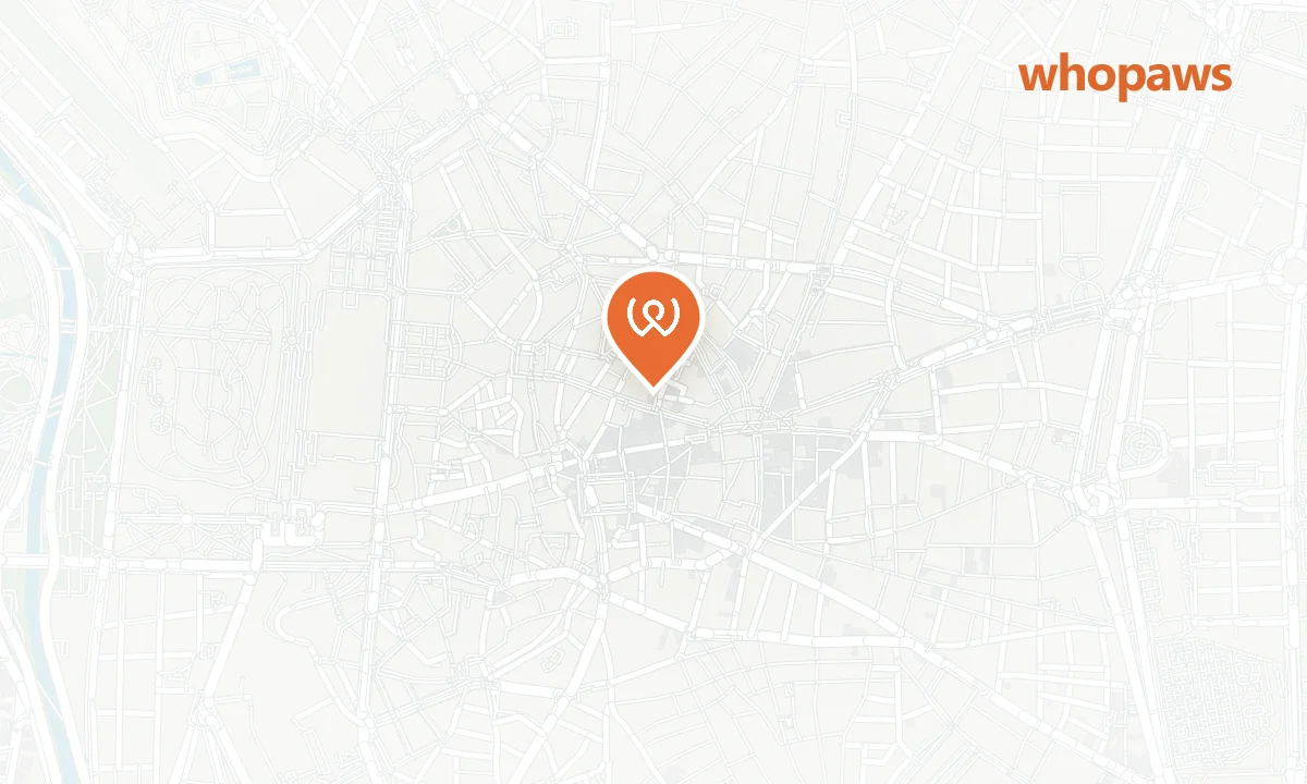 Mapa de la ubicación de TOC Hostel Madrid
