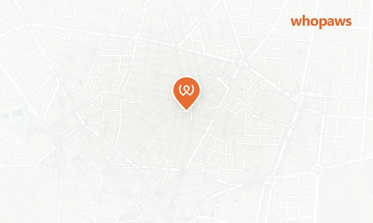 Mapa de la ubicación de Falafeleria - Malasaña