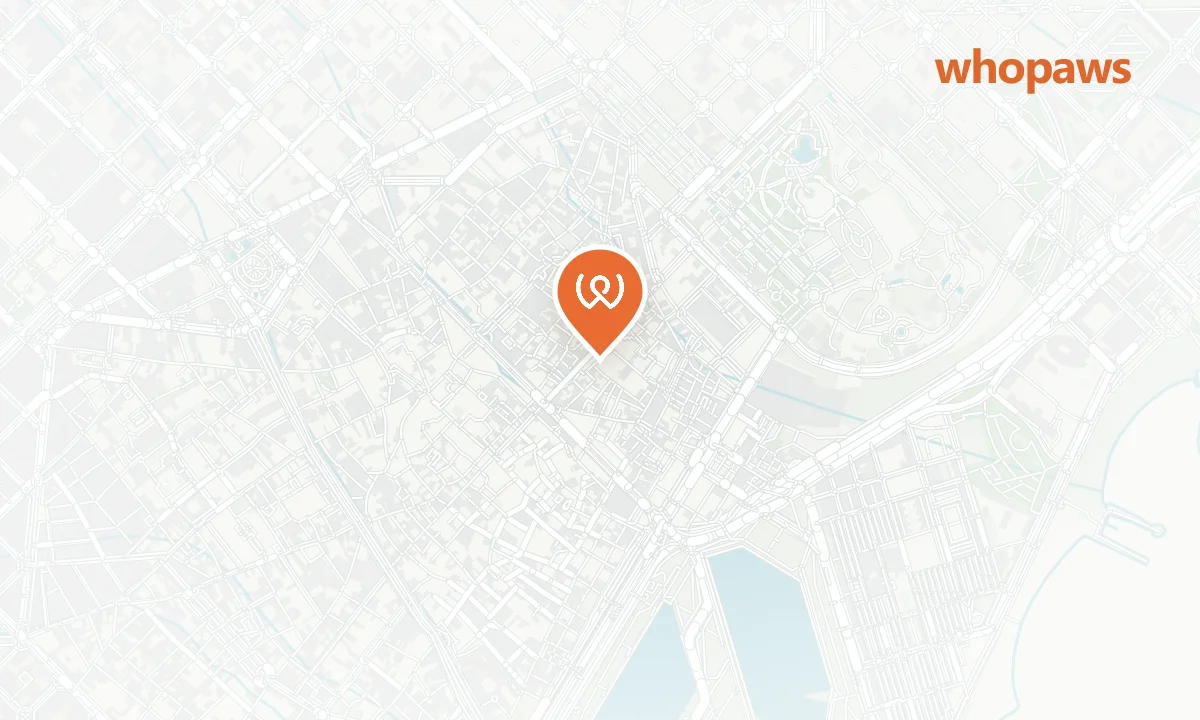 Mapa de la ubicación de Terraza del Museu Europeu d'Art Modern
