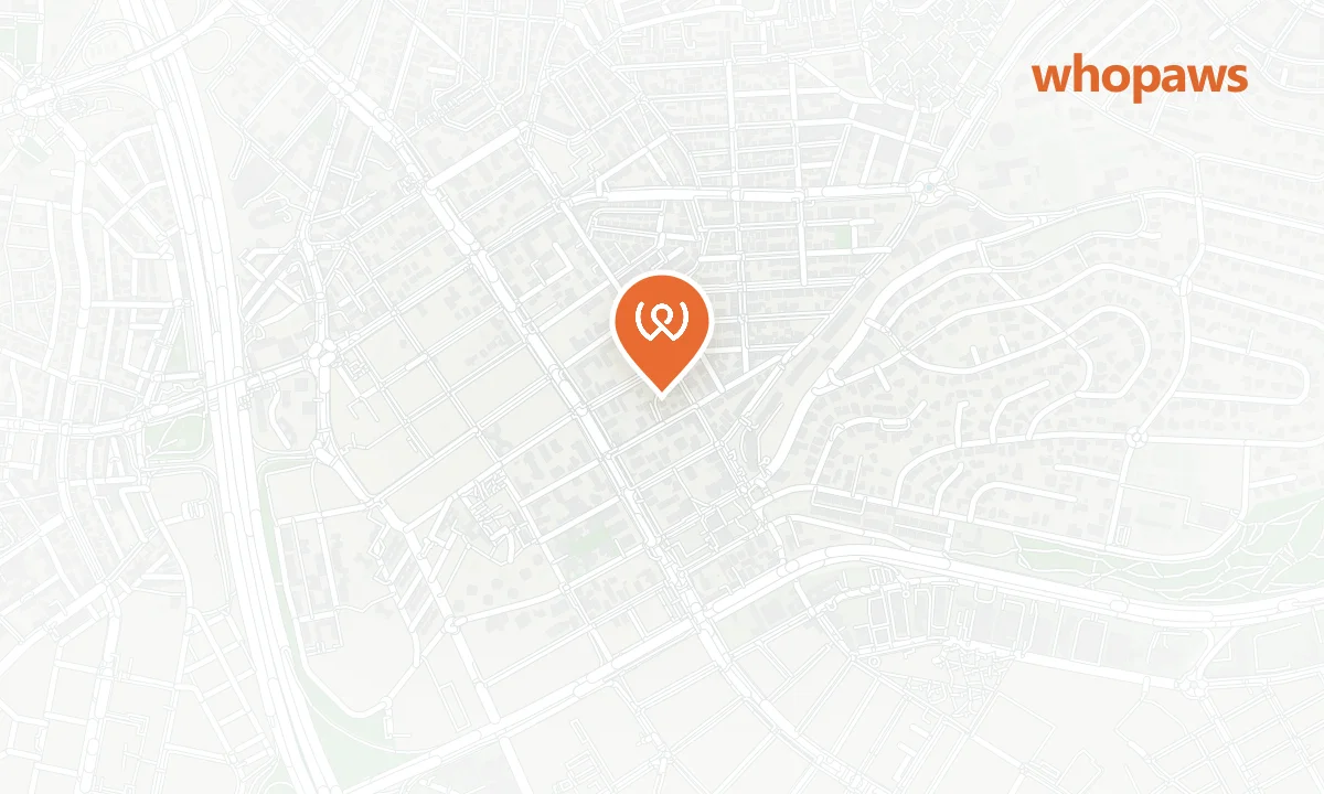 Mapa de la ubicación de Hotel Zenit Conde de Orgaz