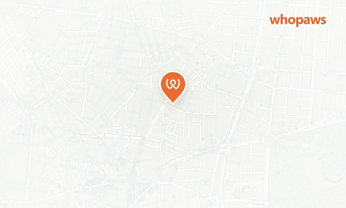 Mapa de la ubicación de Baco y Beto