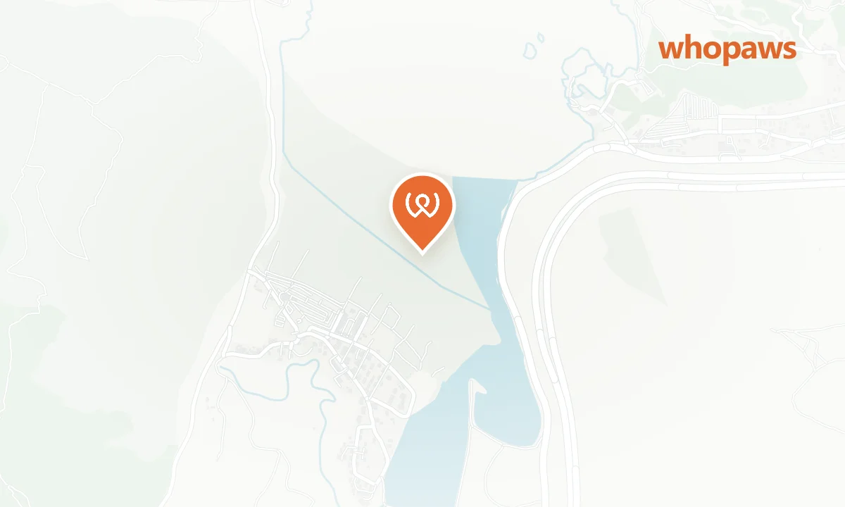 Mapa de la ubicación de Playa del Muelle de Oriñón