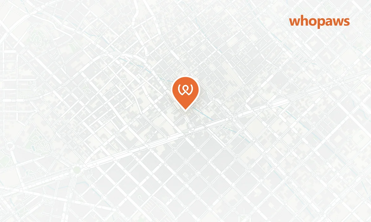 Mapa de la ubicación de Voilà Concept