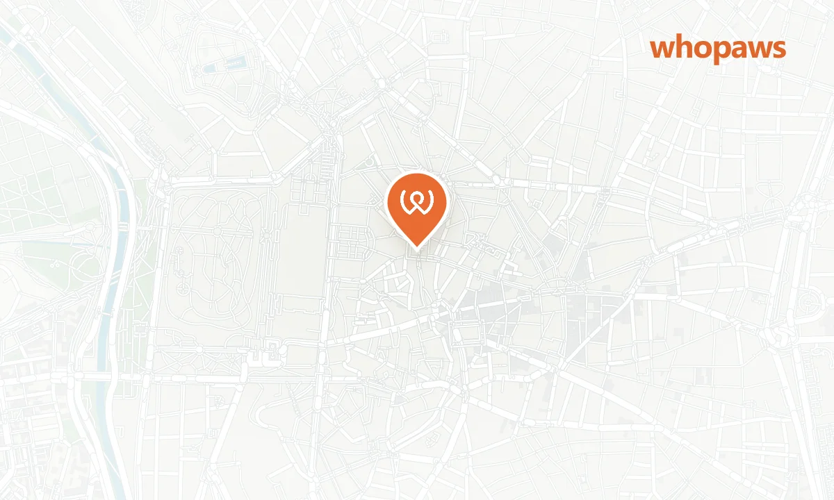 Mapa de la ubicación de Ocean Drive Madrid
