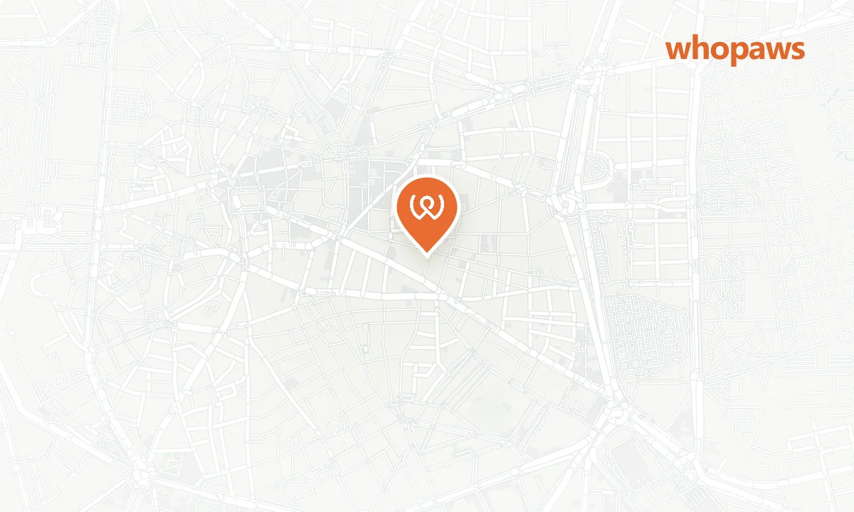 Mapa de la ubicación de Terraza del Viva María