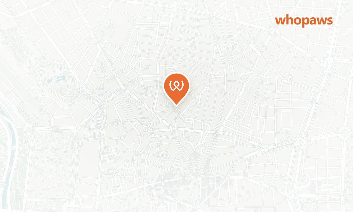 Mapa de la ubicación de MADAM