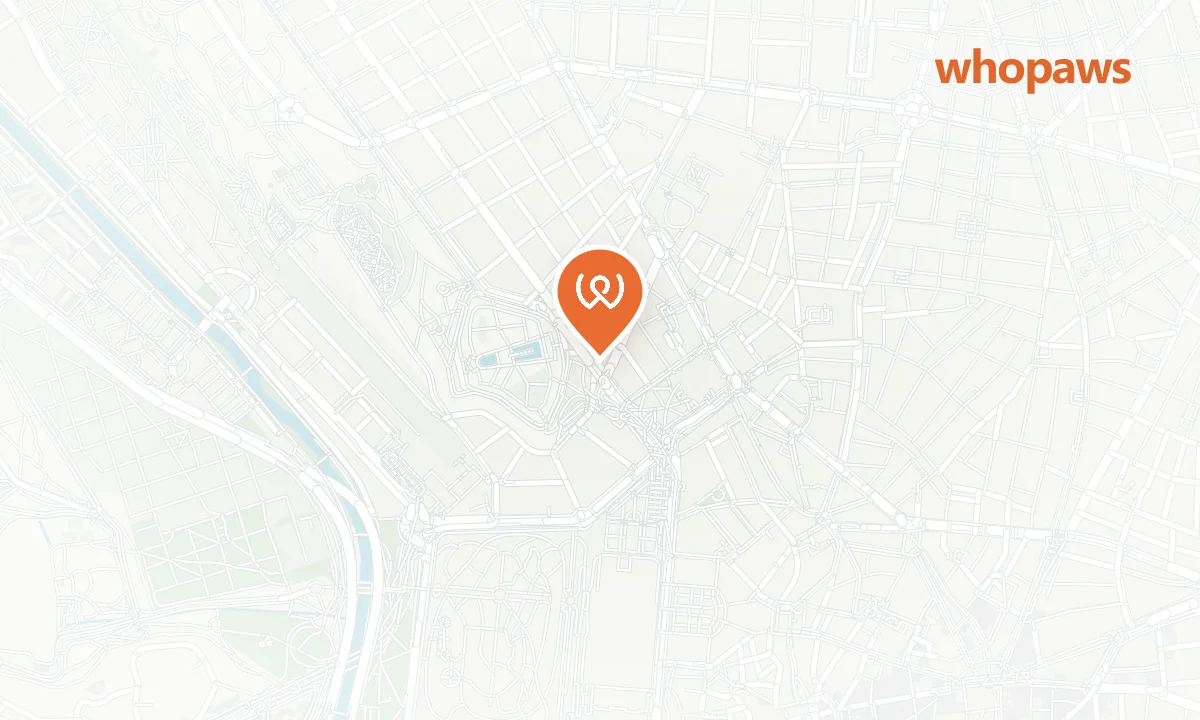 Mapa de la ubicación de Bee Beer Debod