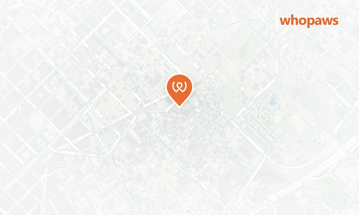 Mapa de la ubicación de Nomad Coffee