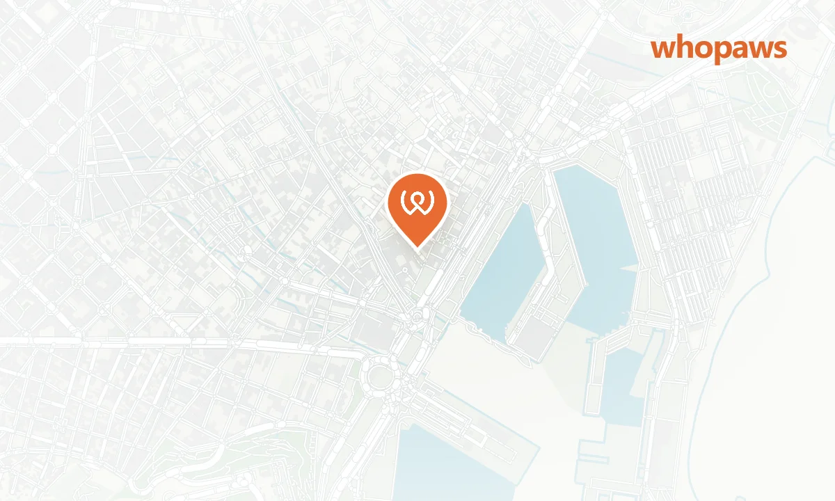 Mapa de la ubicación de Federal Café Gòtic