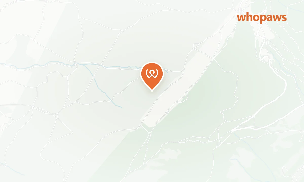 Mapa de la ubicación de El Rinconcito de Zarzalejo