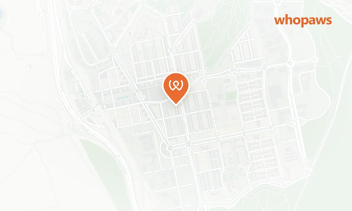 Mapa de la ubicación de Repsol Tres Cantos Poniente