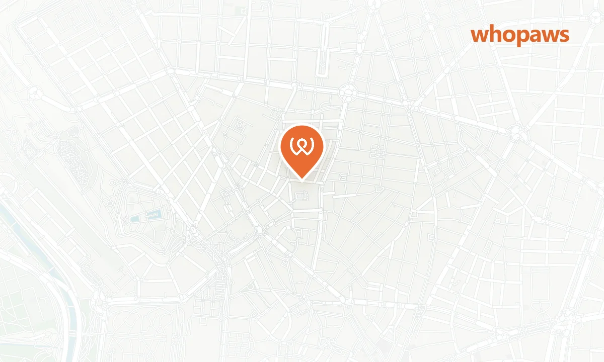 Mapa de la ubicación de Brunchit Malasaña