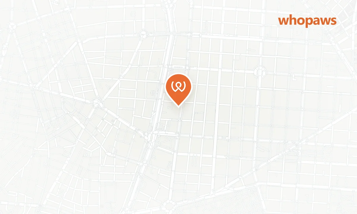 Mapa de la ubicación de ICON Embassy
