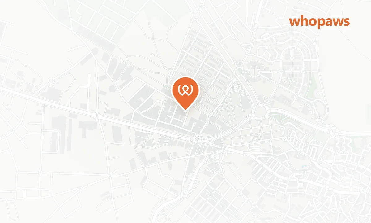 Mapa de la ubicación de Repsol Av. de Madrid (Autolavado Canino)