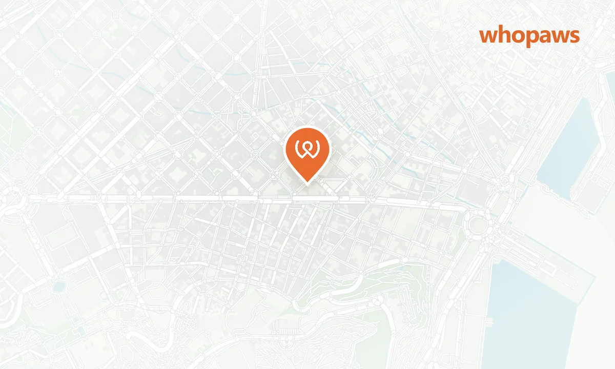 Mapa de la ubicación de Filomena