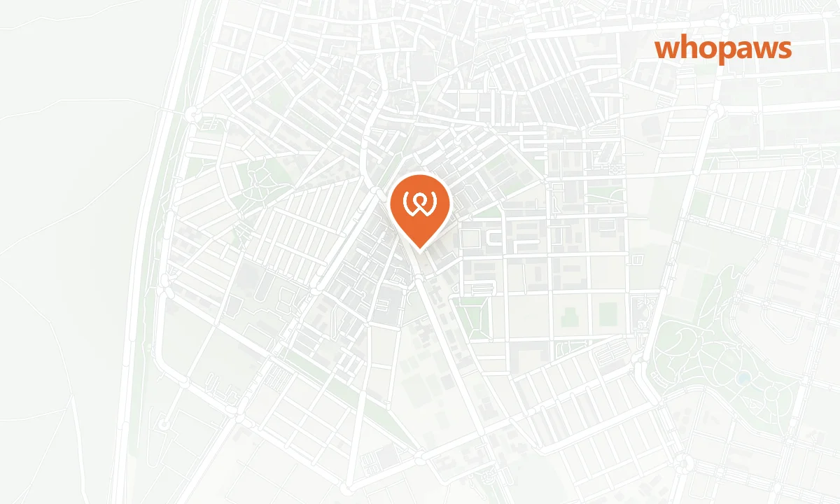 Mapa de la ubicación de Checkin Madrid Parla