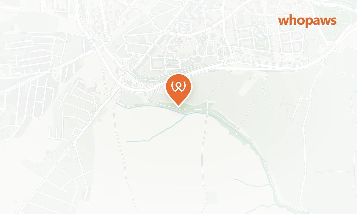 Mapa de la ubicación de Repsol Ctra. Humanes (Autolavado Canino)