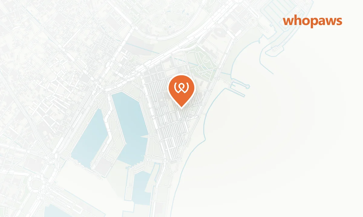 Mapa de la ubicación de Myra - Casual café Barceloneta