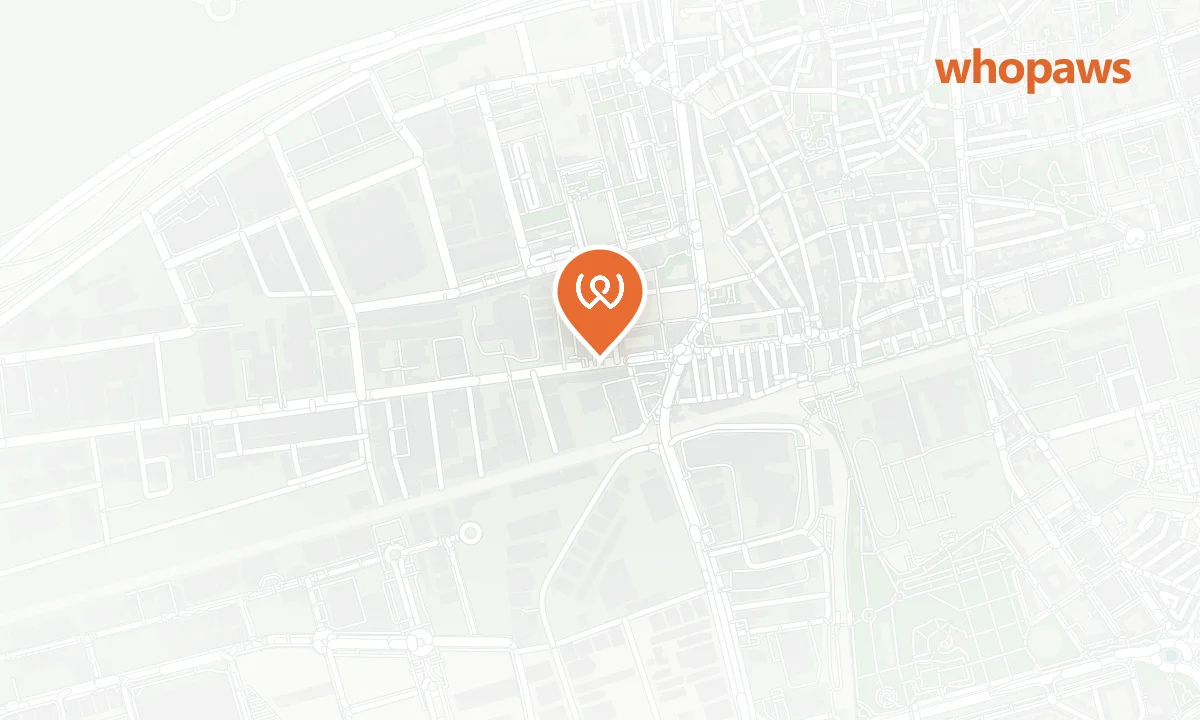 Mapa de la ubicación de Hotel Porcel Avant