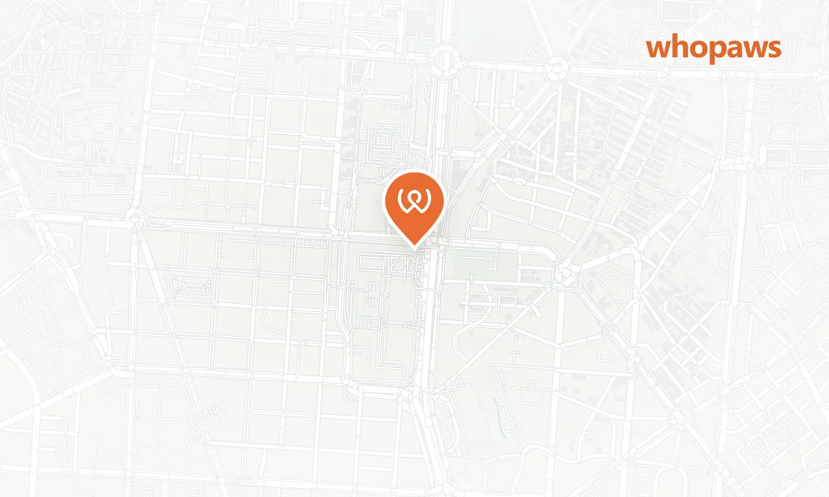 Mapa de la ubicación de Estación de Tren Nuevos Ministerios