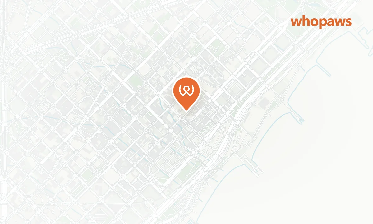 Mapa de la ubicación de LOCAL 225