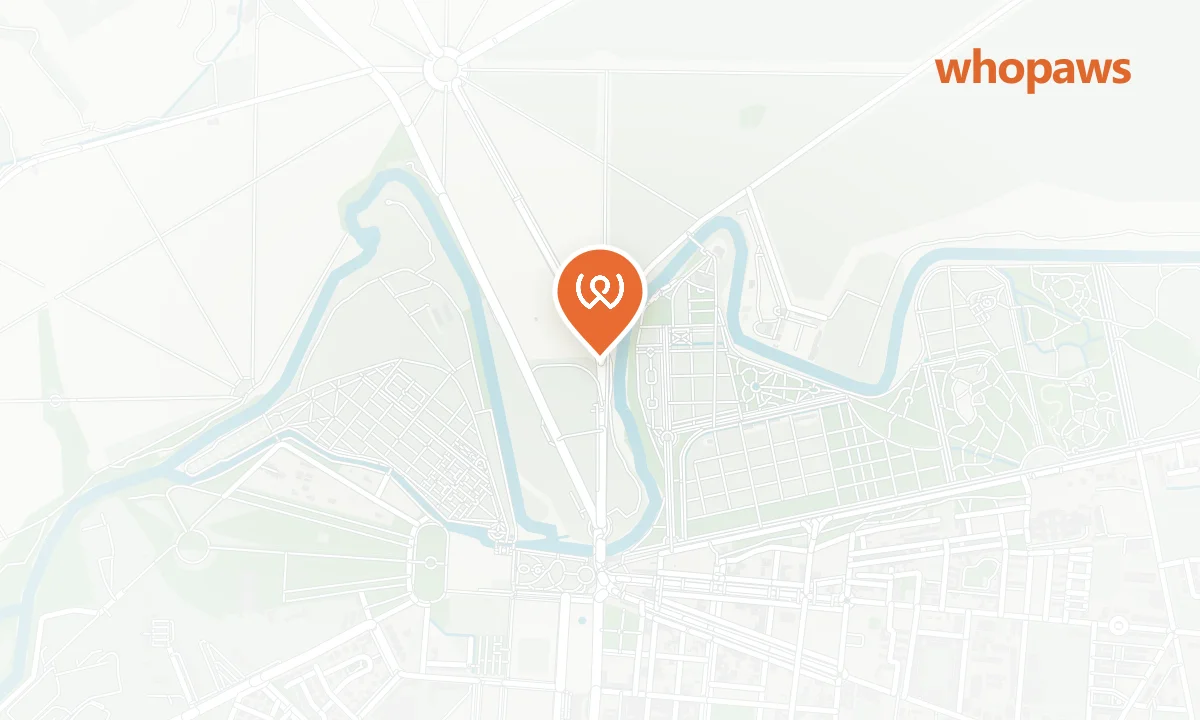 Mapa de la ubicación de Cepsa Aranjuez Ctra. Madrid
