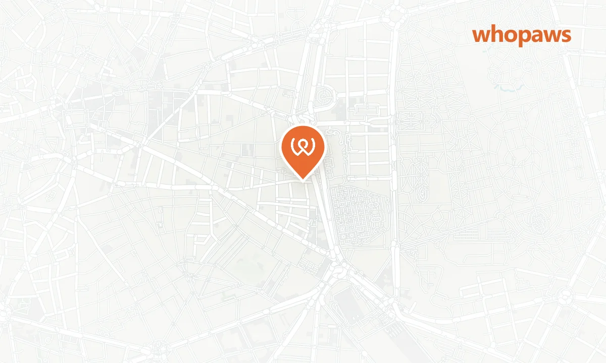 Mapa de la ubicación de La Plateria Bar Museo