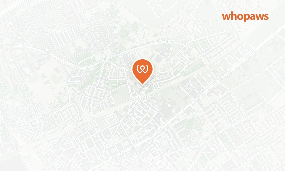 Mapa de la ubicación de Repsol El Chorrillo (Autolavado Canino)