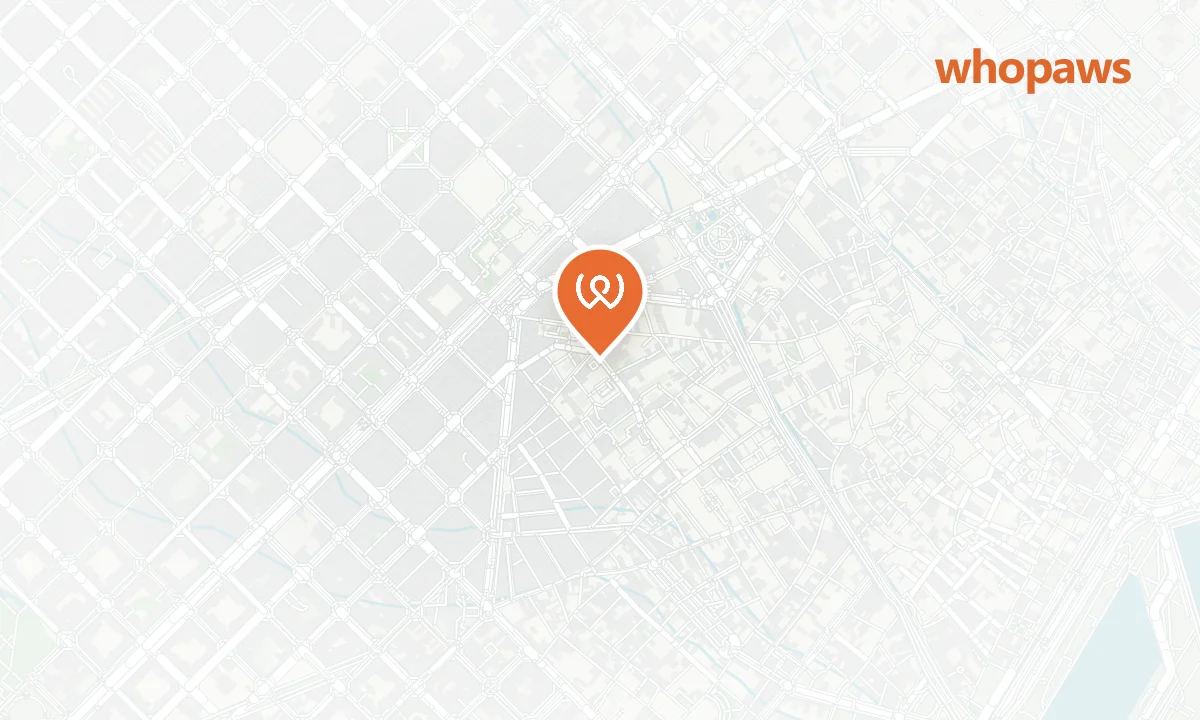 Mapa de la ubicación de Fifteen Raval