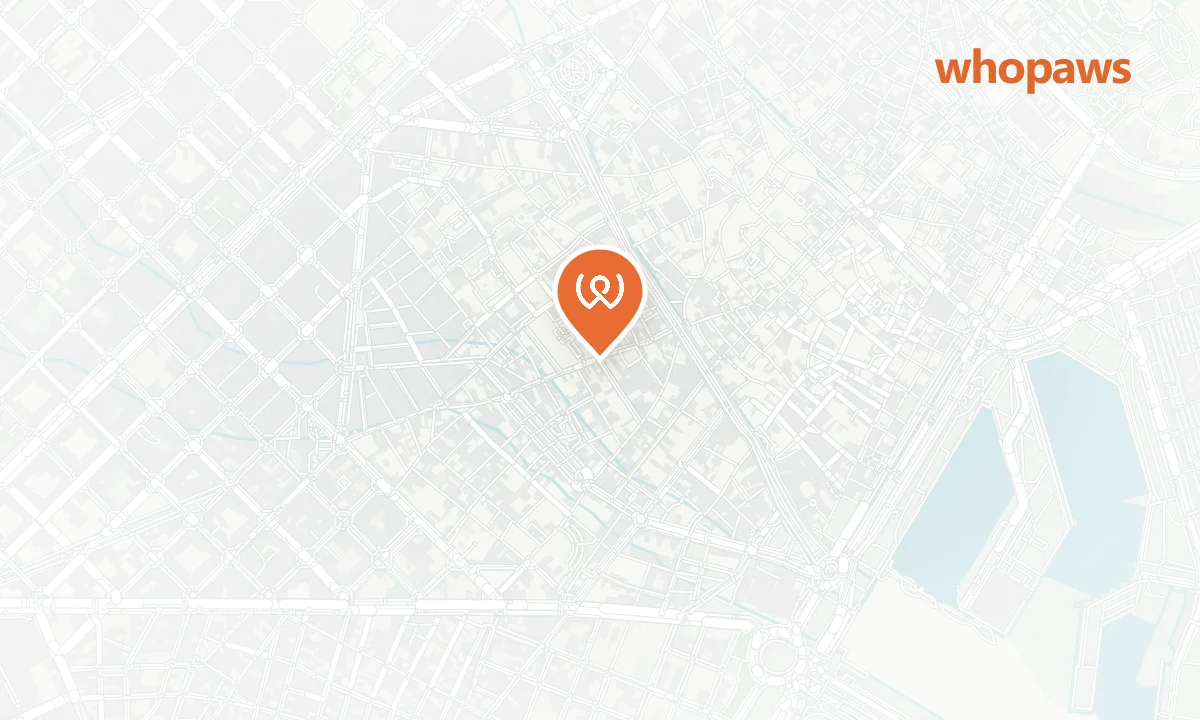 Mapa de la ubicación de Bar Mendizábal
