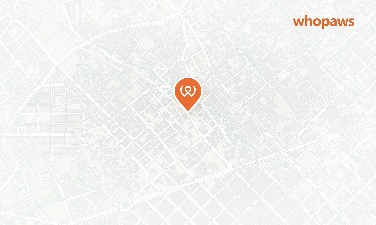 Mapa de la ubicación de The Fish & Chips Shop - Balmes