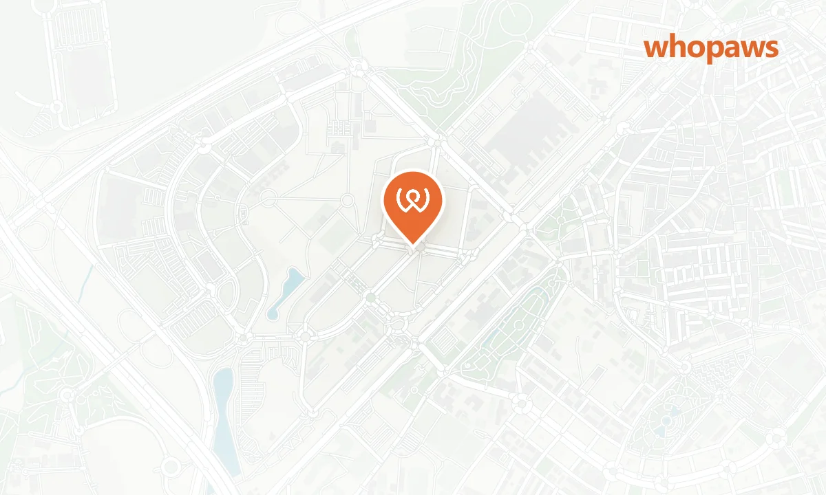 Mapa de la ubicación de Holiday Inn Express Madrid - Alcorcón